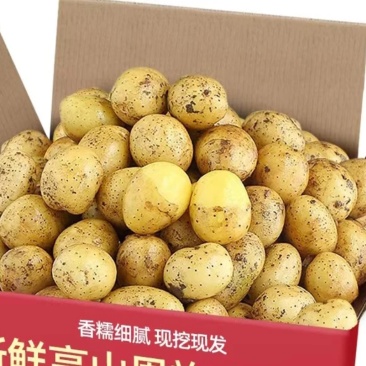 土豆
