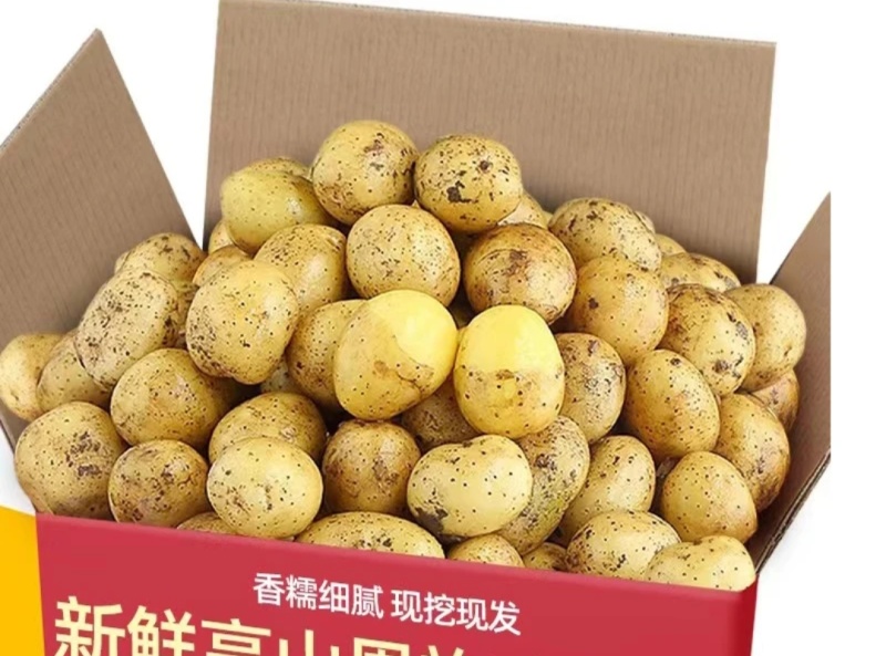 土豆
