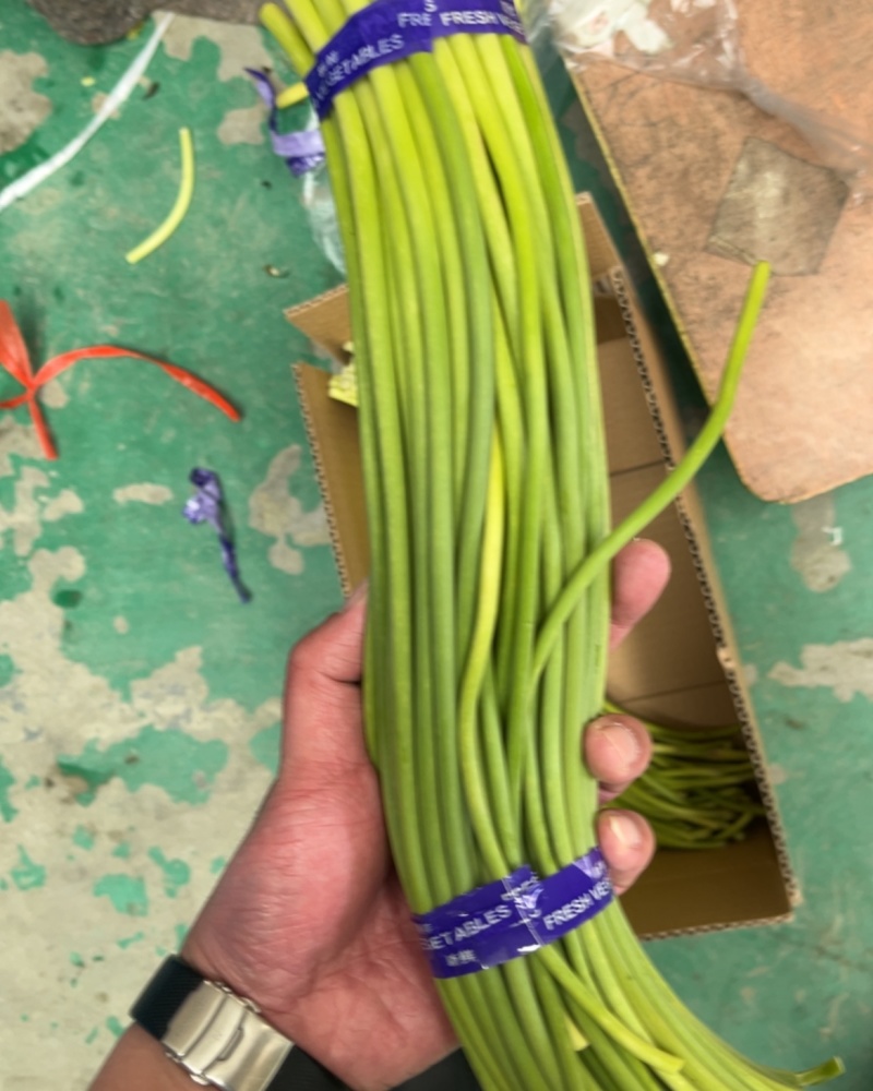 正宗兰陵蒜薹长苔，支持电商全国一件代发，质量好货源充足，