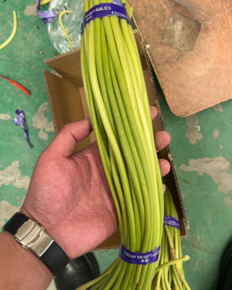 正宗兰陵蒜薹长苔，支持电商全国一件代发，质量好货源充足，
