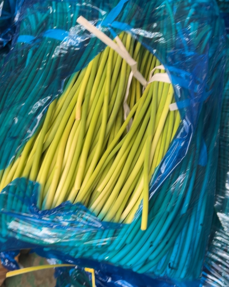正宗兰陵蒜薹长苔，支持电商全国一件代发，质量好货源充足，