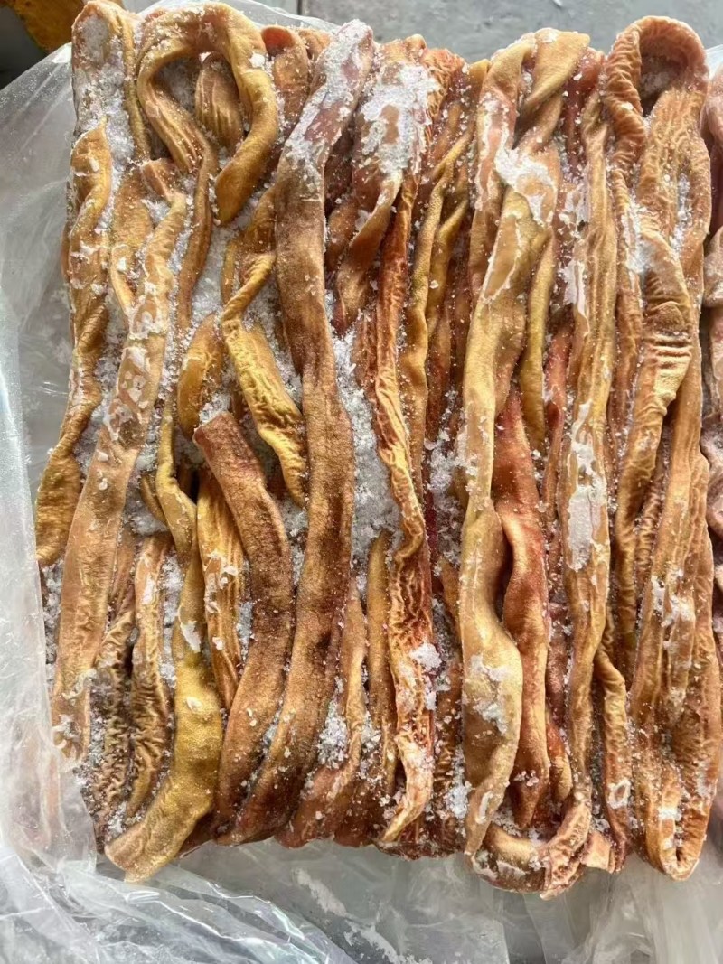 熟小肠