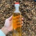 广西正宗山茶油