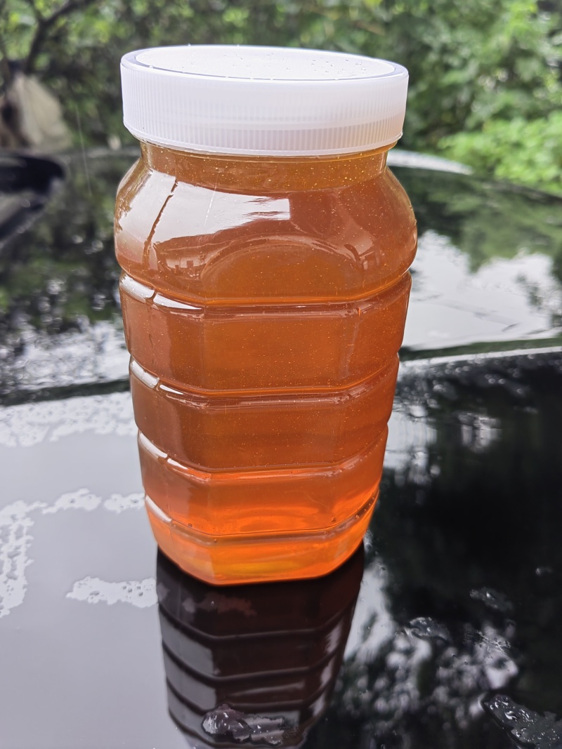 四川泸州桂圆花~蜂蜜贵州荆条花蜂蜜