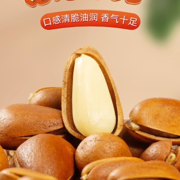 新货东北松大颗粒松子支持电商一件代发批量拿货