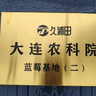 L251142F6优瑞卡都有