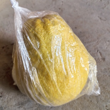 正宗永州江永柚子