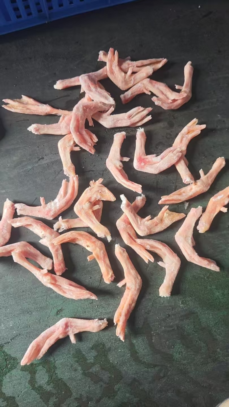 麻鸭掌有货