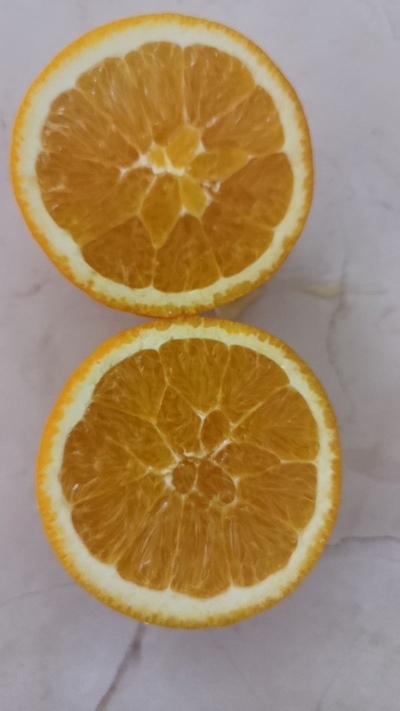 奉节脐橙