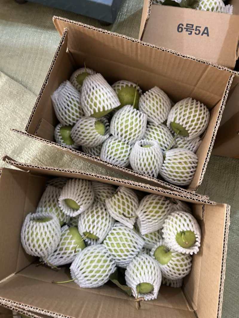 新鲜的山楂果山楂肉山楂干！