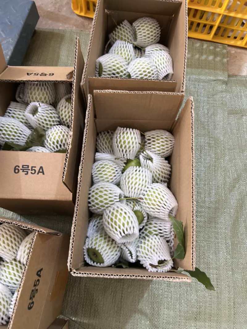 新鲜的山楂果山楂肉山楂干！