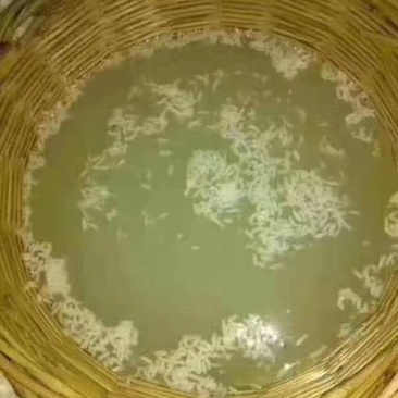 房县黄酒洑汁