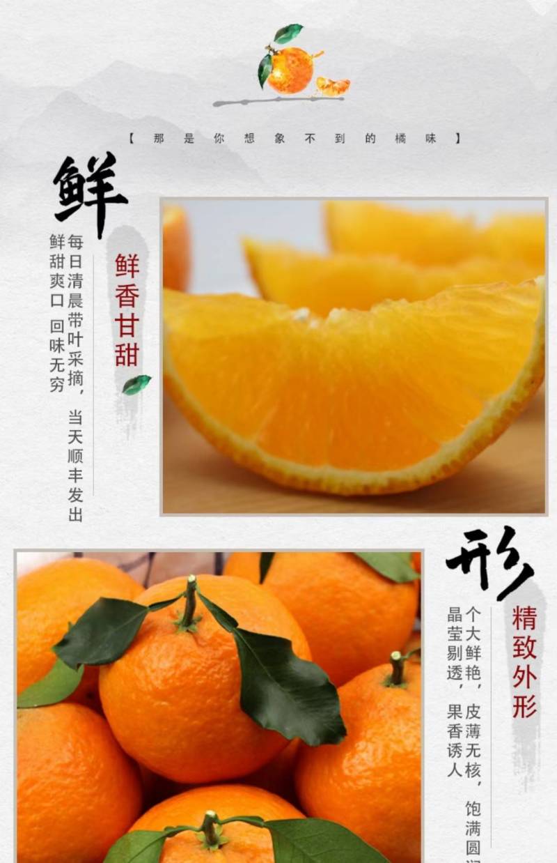 酉水河红美人柑橘