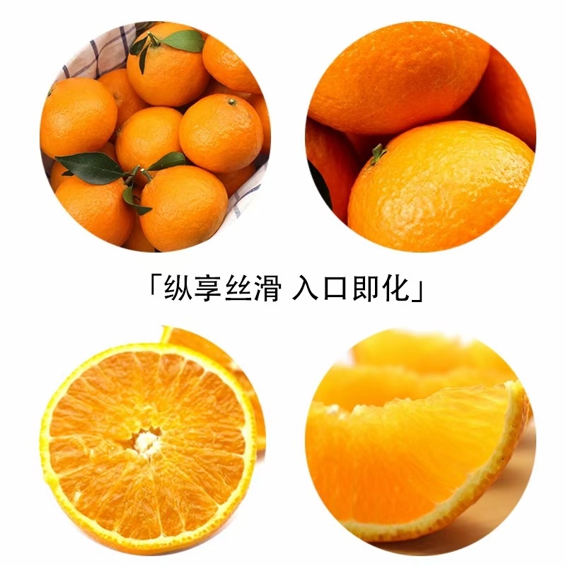 酉水河红美人柑橘