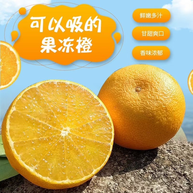 酉水河红美人柑橘