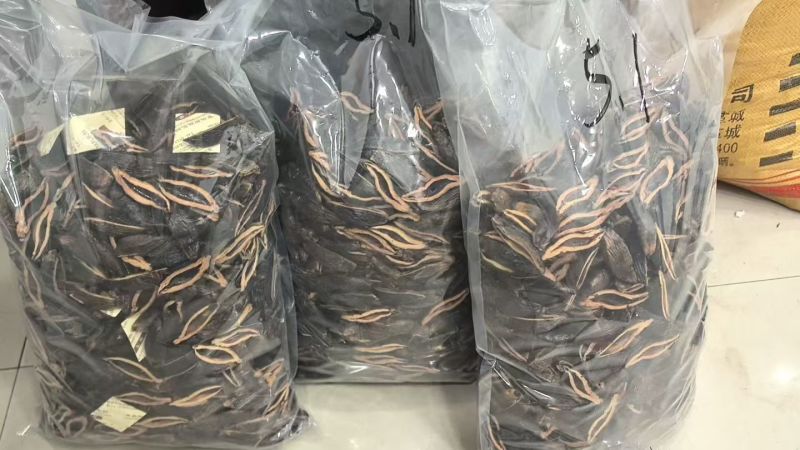 24小时售后，品质不行找我随时换购