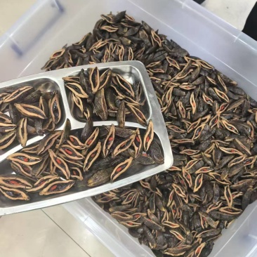 24小时售后，品质不行找我随时换购