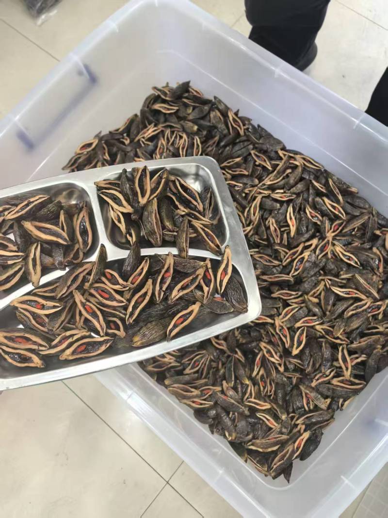 24小时售后，品质不行找我随时换购