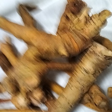野生土大黄（切片干品和统货量大）