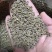 优质的正宗江西粉防己，品质好，一斤可产一万多棵苗