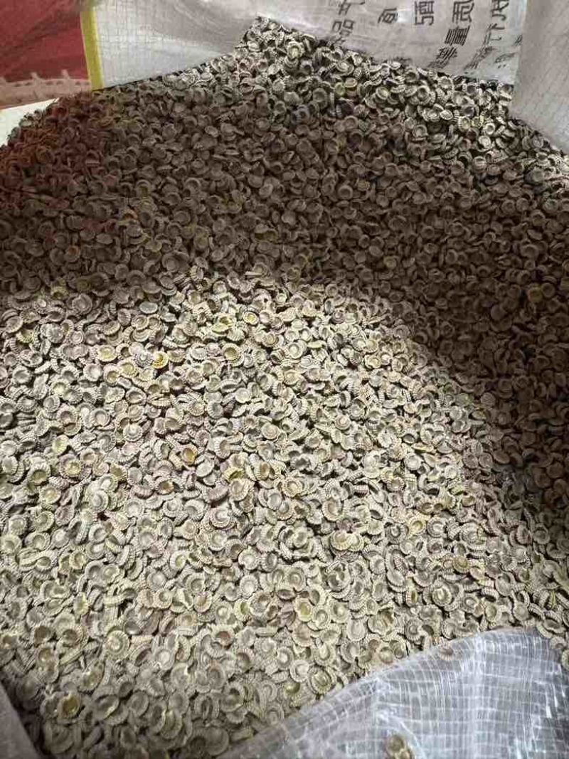 优质的正宗江西粉防己，品质好，一斤可产一万多棵苗