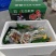 鸡鸭鹅冻品土鸡蛋乌鸡蛋抖音快手多多一件代发