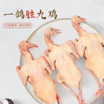 鸡鸭鹅冻品土鸡蛋乌鸡蛋抖音快手多多一件代发