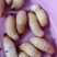 竹虫