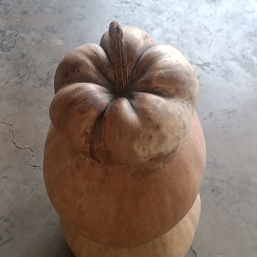 天然葫芦