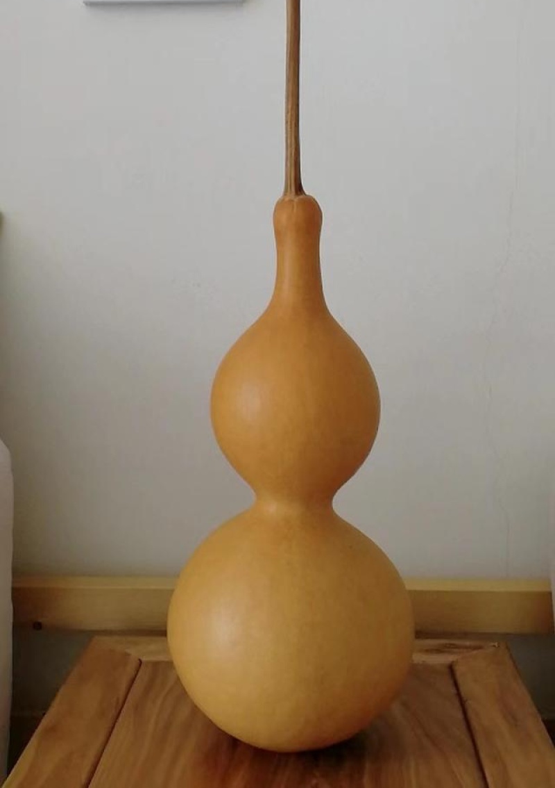 天然葫芦