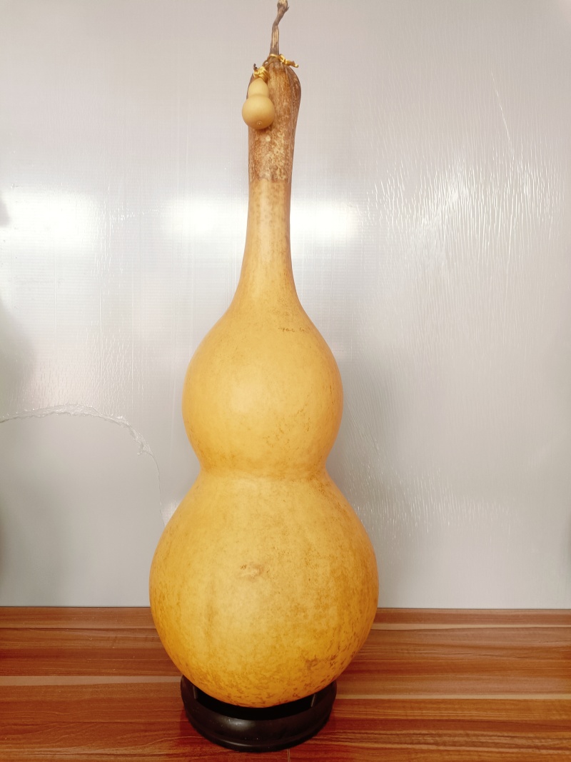 天然葫芦