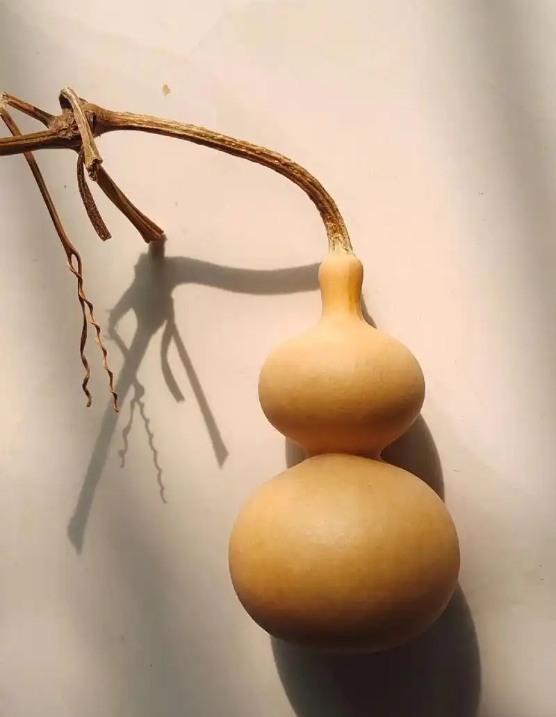 天然葫芦