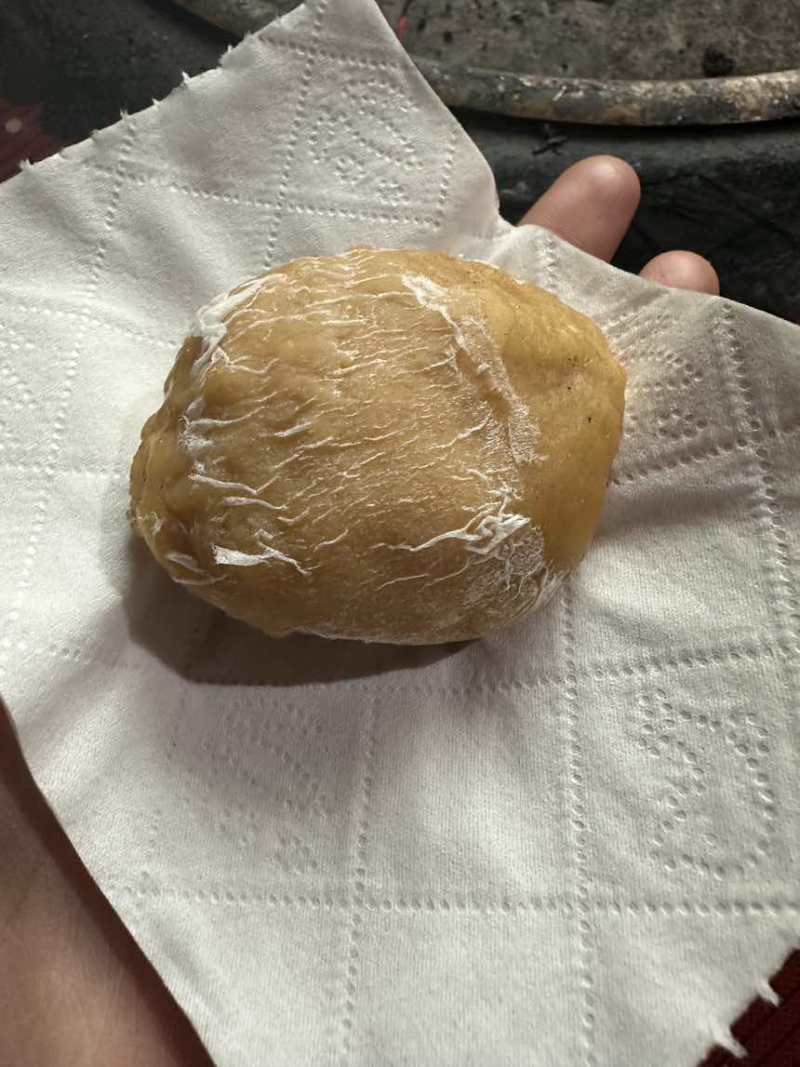 鸡宝