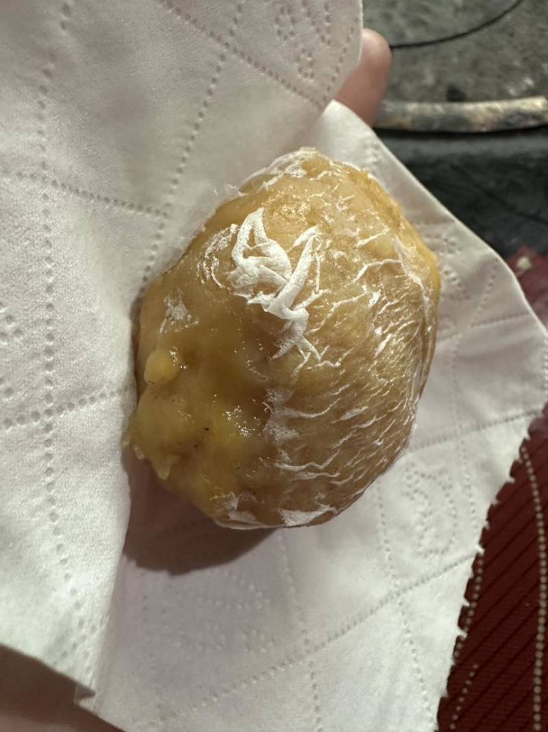 鸡宝