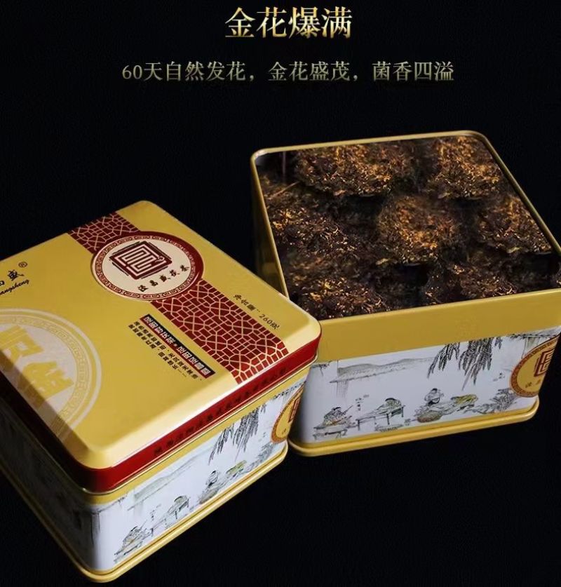陕西泾阳茯茶