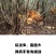 重庆江津富硒土鸡