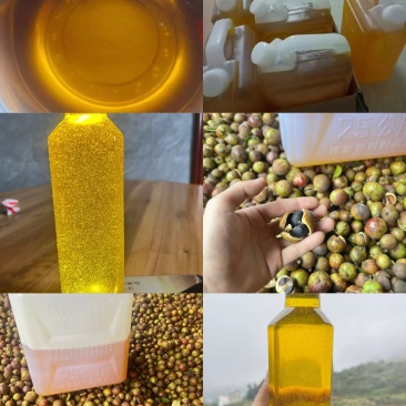 山茶油