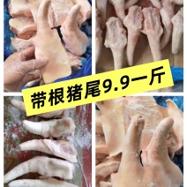 带根短尾实拍颜色新鲜，瘦肉率高，价格**划算