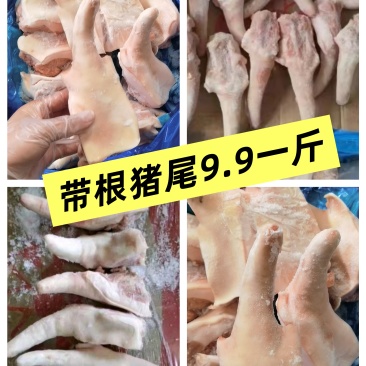 带根短尾实拍颜色新鲜，瘦肉率高，价格**划算