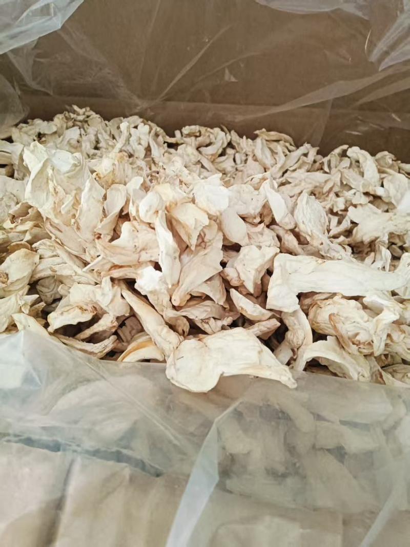 产地杏鲍菇干货***剂
