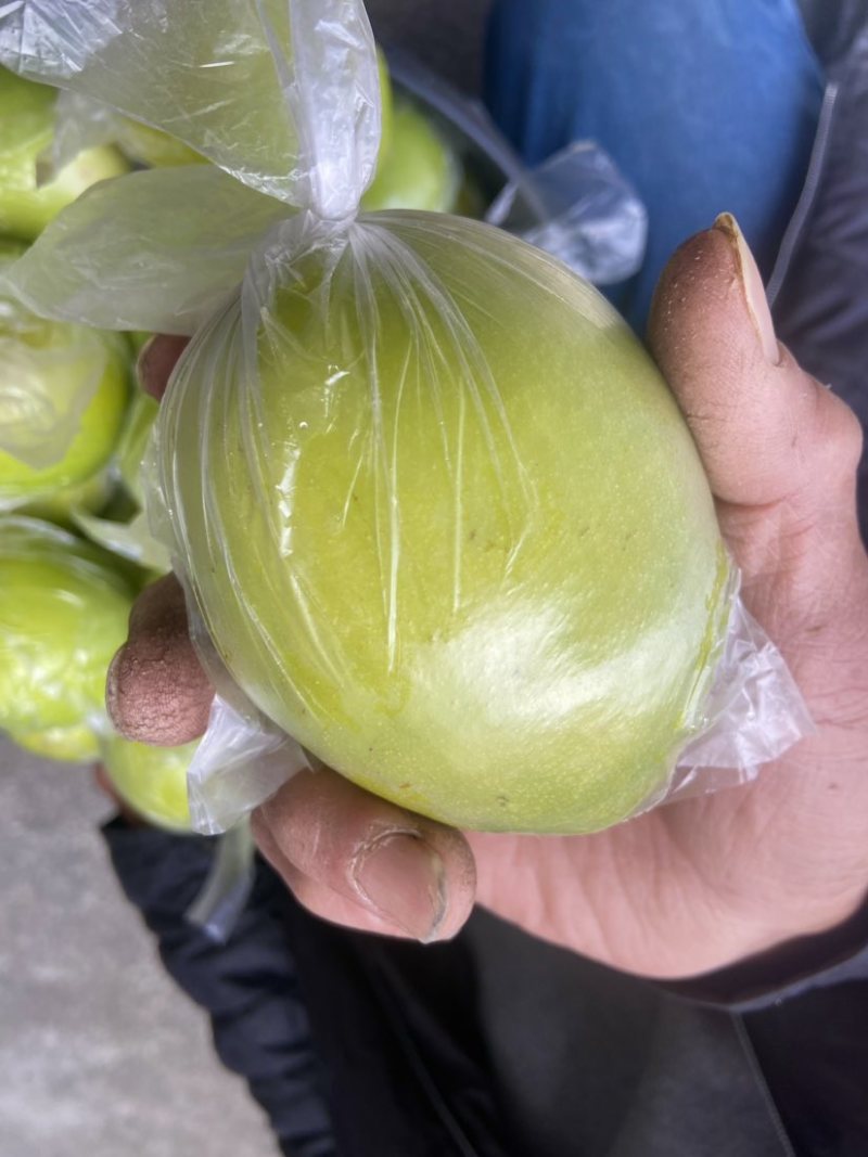 云霄青枣牛奶枣