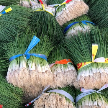 小香葱