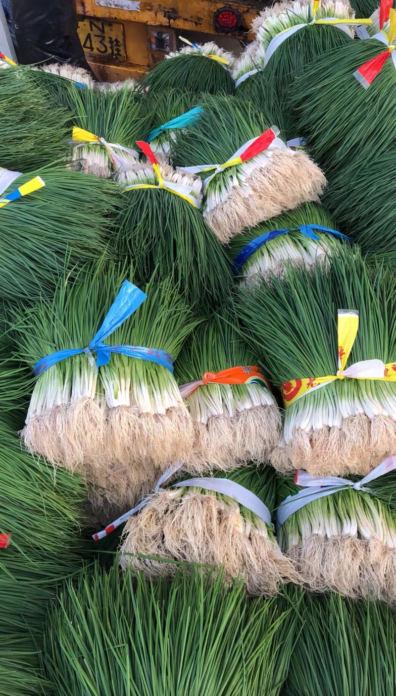 小香葱