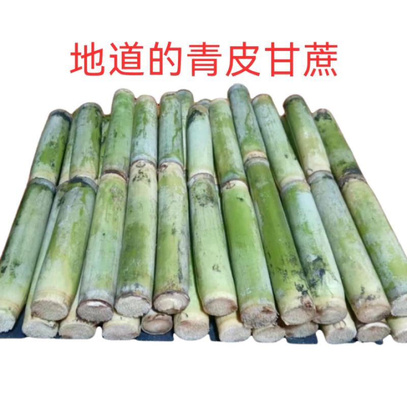 青皮甘蔗大小都有看品质议价