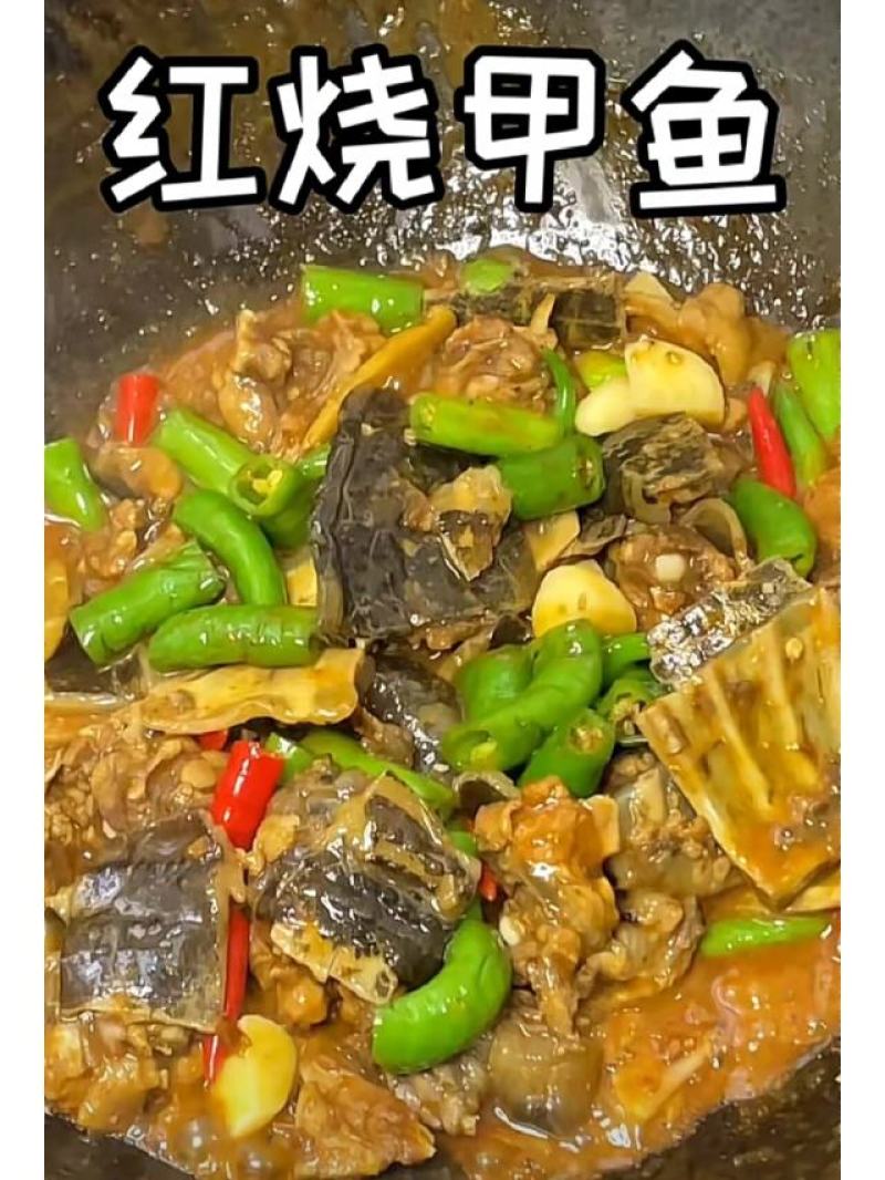四季农产品合作社甲鱼批发价格公道
