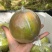 山西正宗玉露香梨
