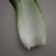 青菜