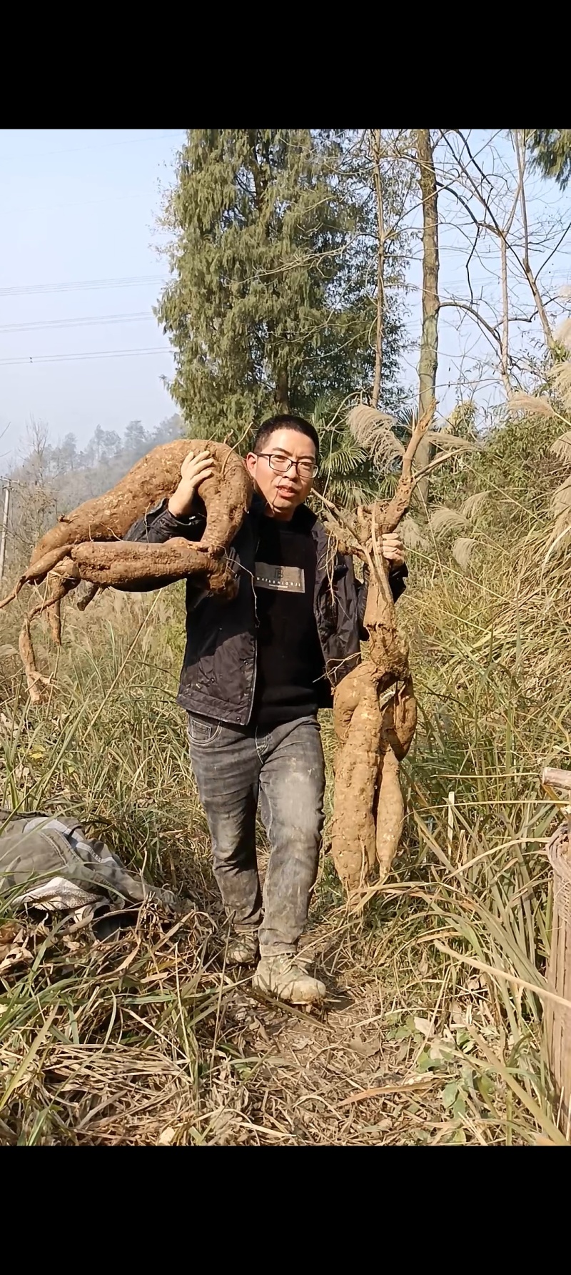 重庆野生葛根粉，无污染***