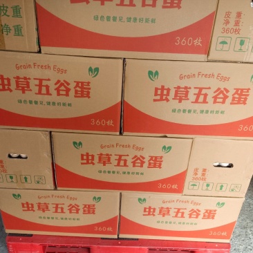 鸡蛋