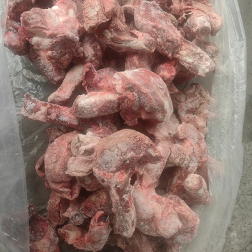 鞭根肉